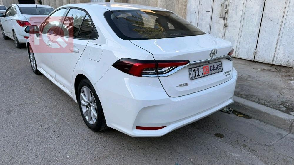 تويوتا كورولا